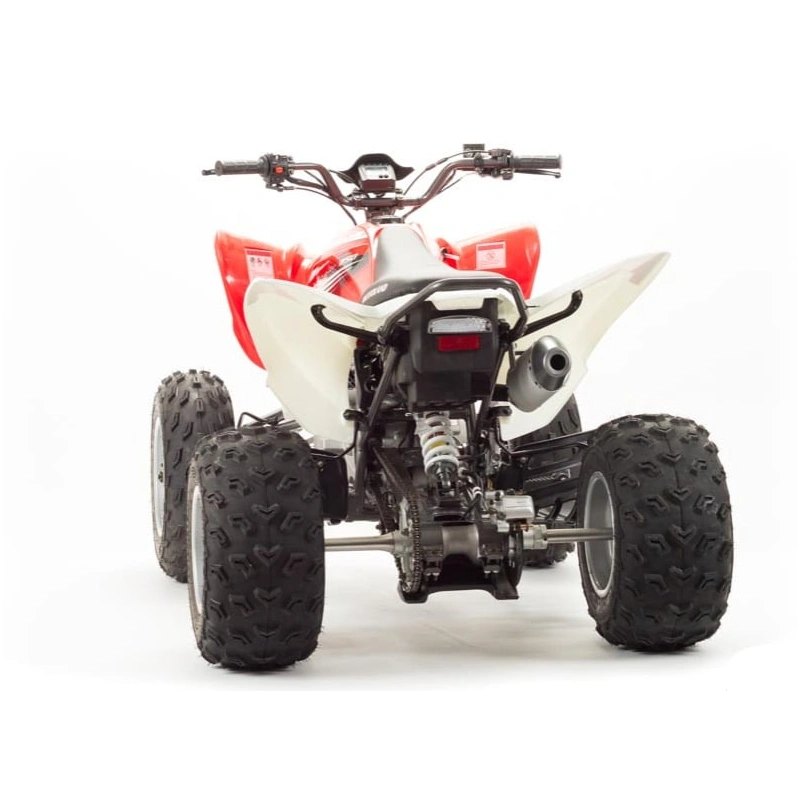 Квадроцикл MOTOLAND 125S (2020 Г.) 248146