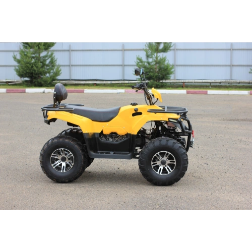 Квадроцикл IRBIS ATV200 Premium 2586881
