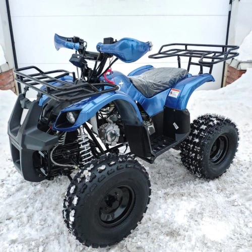 Квадроцикл MOTOLAND 125 Fox A 248074