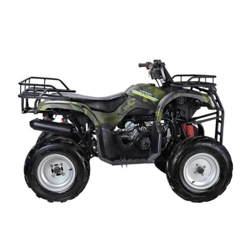 Квадроцикл WELS Purga 170 2591799