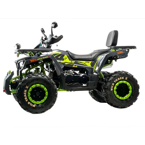 Квадроцикл MOTOLAND 200 Wild Track X Winch 2588862