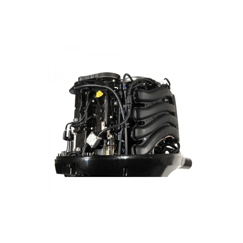 4х-тактный лодочный мотор GOLFSTREAM F100FEL-T EFI 2577540