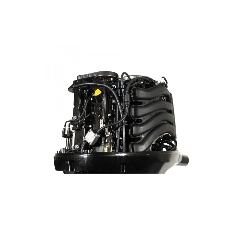 4х-тактный лодочный мотор GOLFSTREAM F100FEL-T EFI 2577540