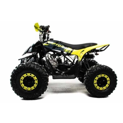 Квадроцикл MOTOLAND 125 Raptor 2591794