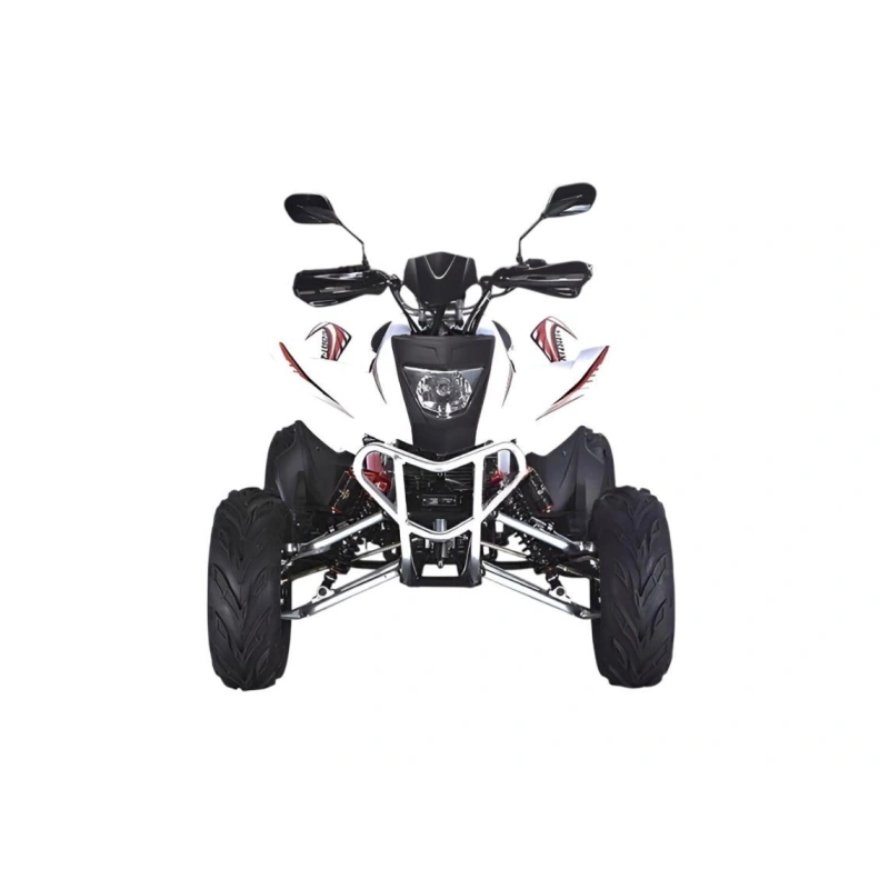 Квадроцикл RATO RТ250SТ-2 2589021