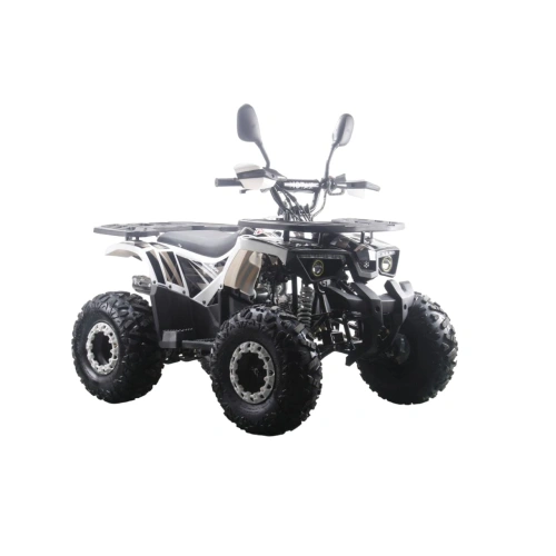Квадроцикл MOTAX ATV Grizlik Premium 125cc 2577202