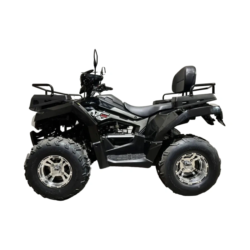 Квадроцикл RATO 200 LD Premium GT 2587276