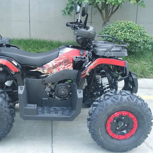 Квадроцикл RACER Gladiator 200 2591702
