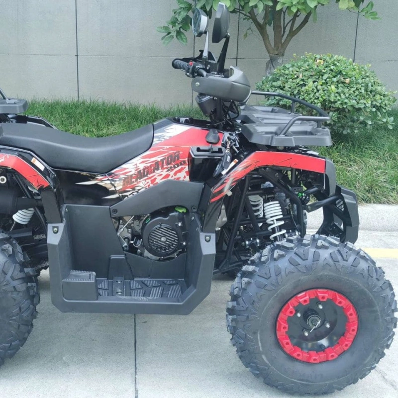 Квадроцикл RACER Gladiator 200 2591702