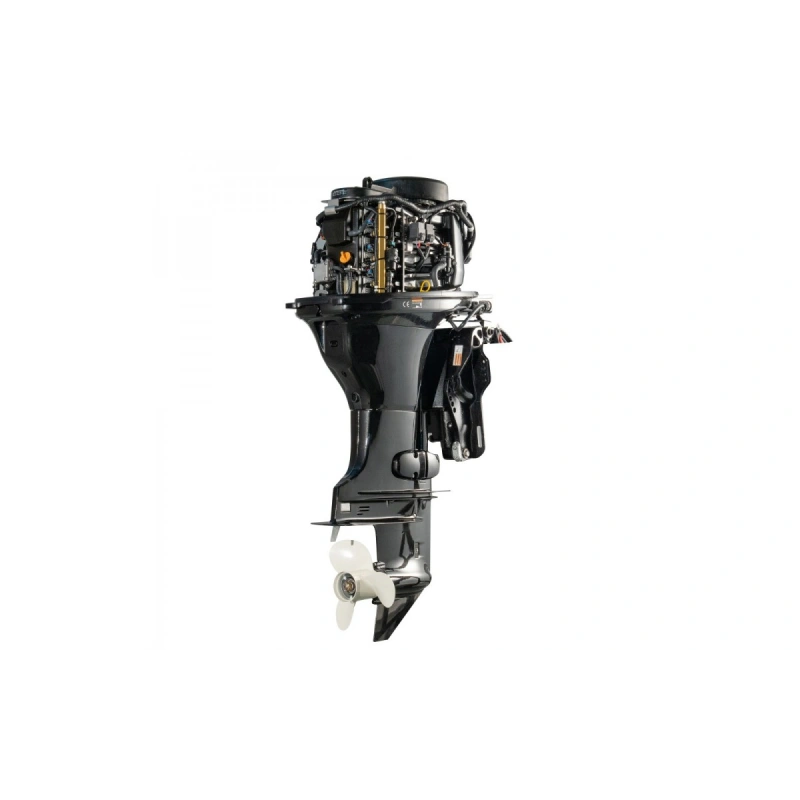 4х-тактный лодочный мотор GOLFSTREAM F100FEL-T EFI 2577540