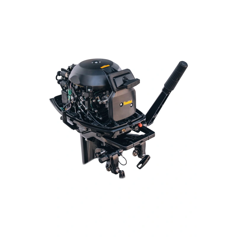 2х-тактный лодочный мотор REEF RIDER RR30FHS 2584113