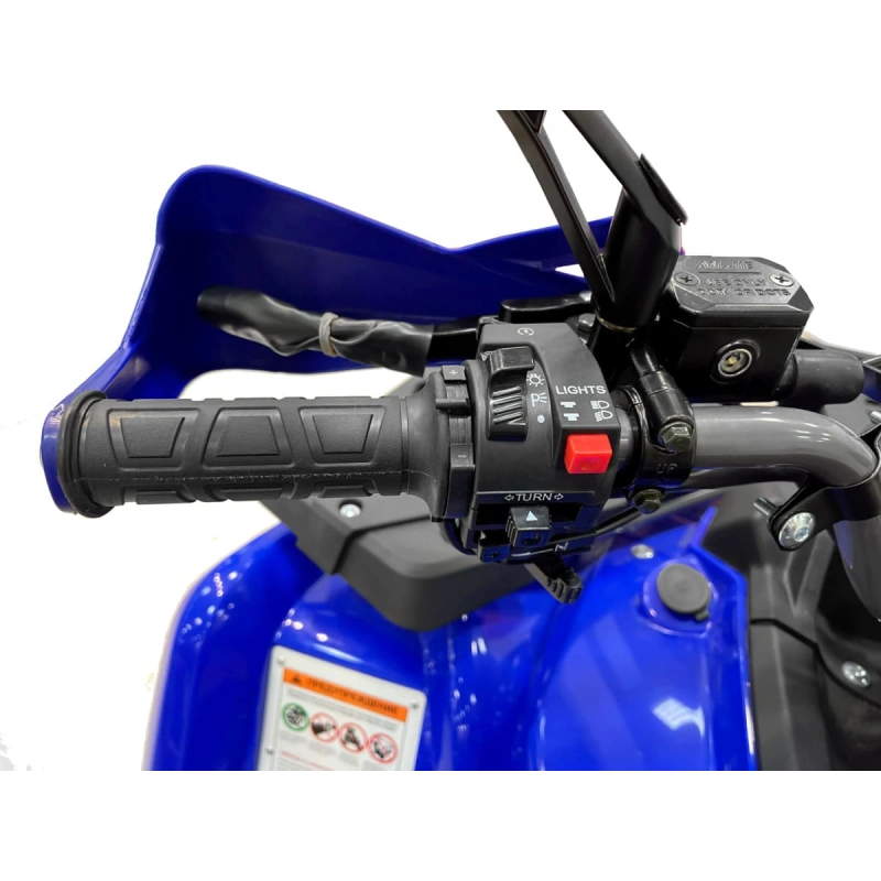 Квадроцикл MOTAX Grizlik 200 ULTRA BIG 2587634