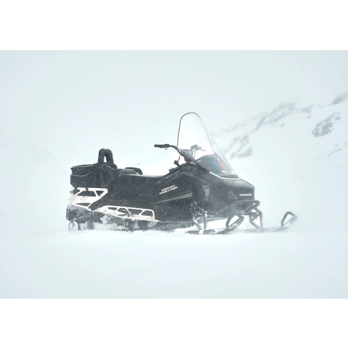 Снегоход SHARMAX SHP-1000 EFI 2577799
