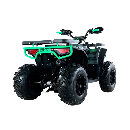 Квадроцикл MOTAX Grizlik U200 2591533