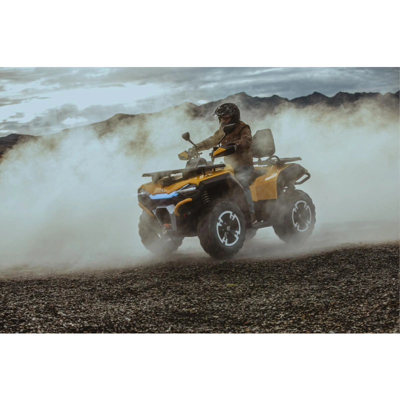 Квадроцикл HISUN Guardian 400L Long 2588901