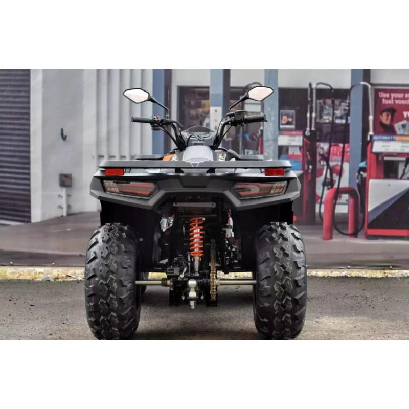 Квадроцикл LONCIN Overland 200 2574779
