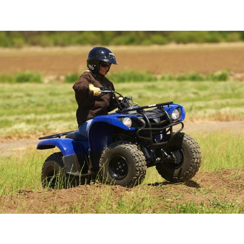 Квадроцикл GRIZZLY 125 2556394