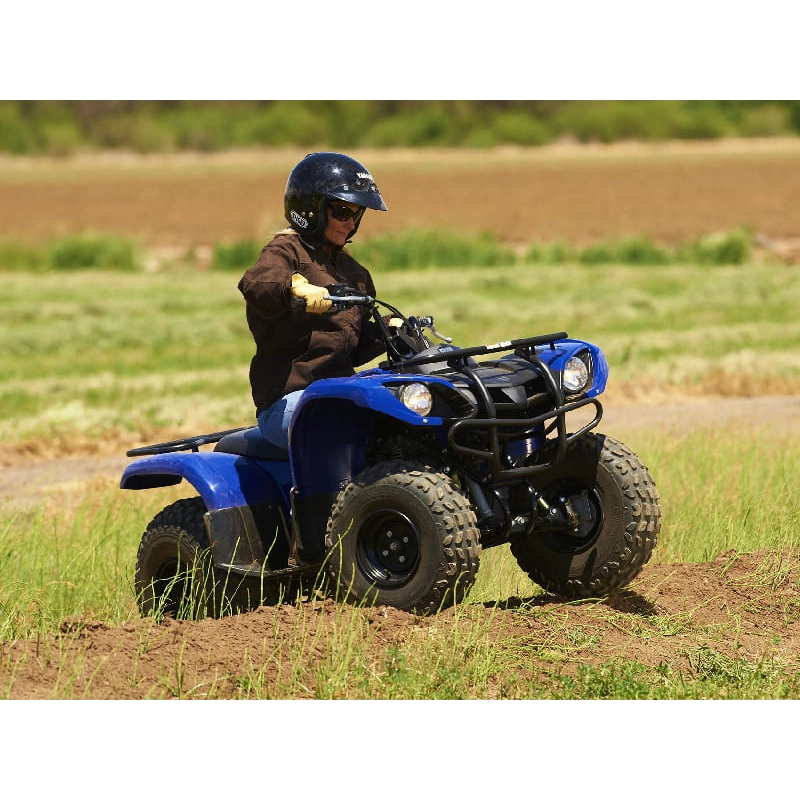 Квадроцикл GRIZZLY 125 2556394