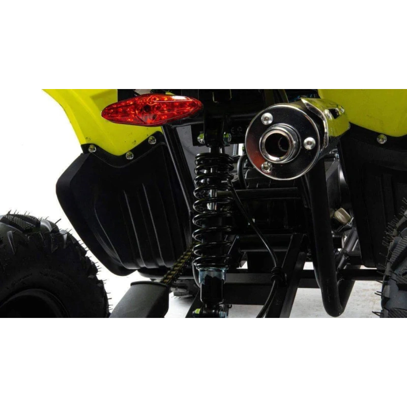 Квадроцикл MOTOLAND 125 Raptor