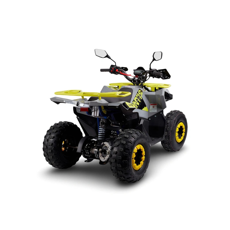 Квадроцикл AVANTIS Ray 8 Lux 2591525