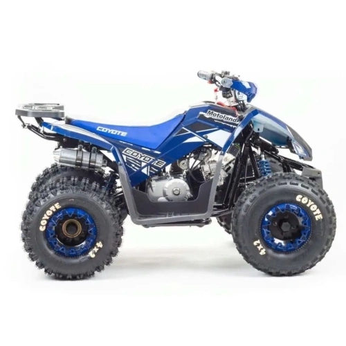 Квадроцикл MOTOLAND 125 Coyote (2021 Г.) 248052
