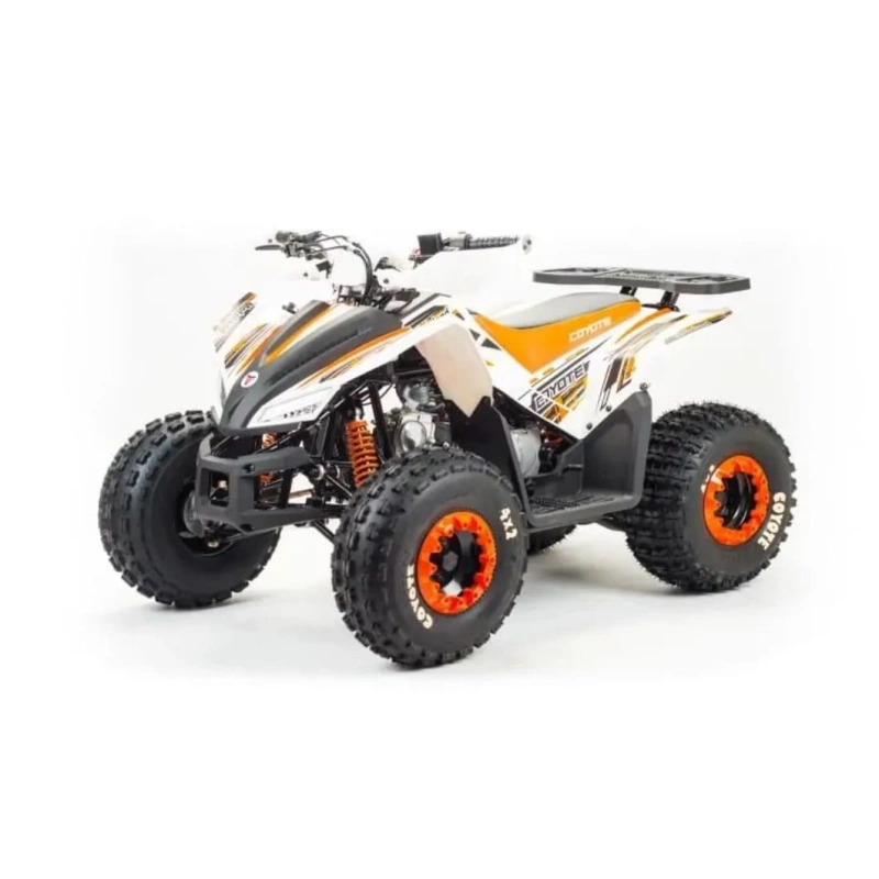 Квадроцикл MOTOLAND 125 Coyote (2021 Г.)