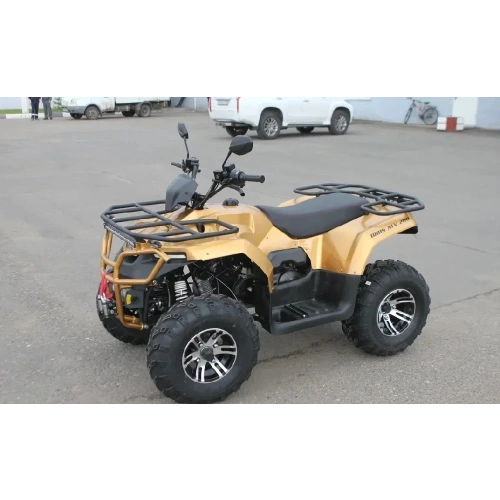 Квадроцикл IRBIS ATV 250 Premium 2586882