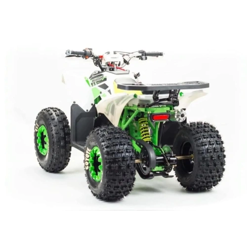 Квадроцикл MOTOLAND 125 Coyote (2021 Г.) 248052