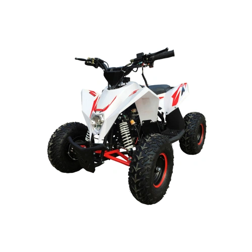 Квадроцикл MOTAX Gekkon 90cc 2587426