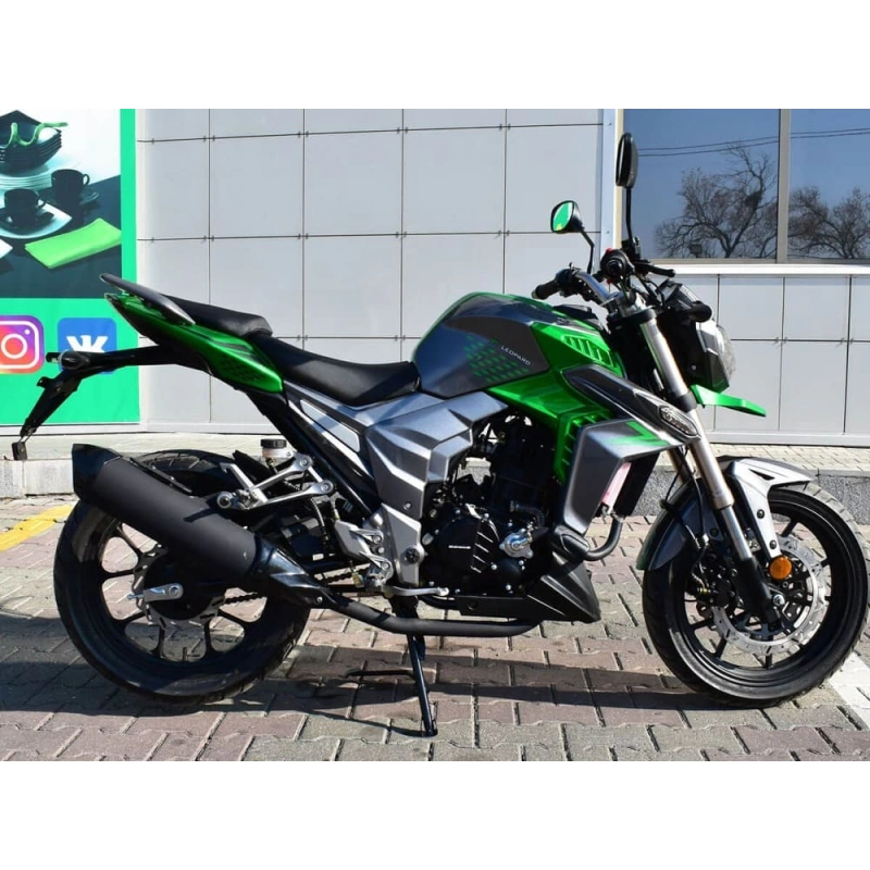Мотоцикл REGULMOTO T-Leopard 300 2576296