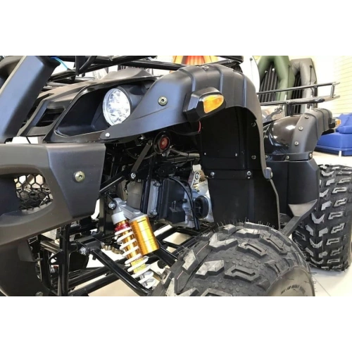 Квадроцикл RAPTOR Max Pro 250 (жёлтый/чёрный) (2024) 248056