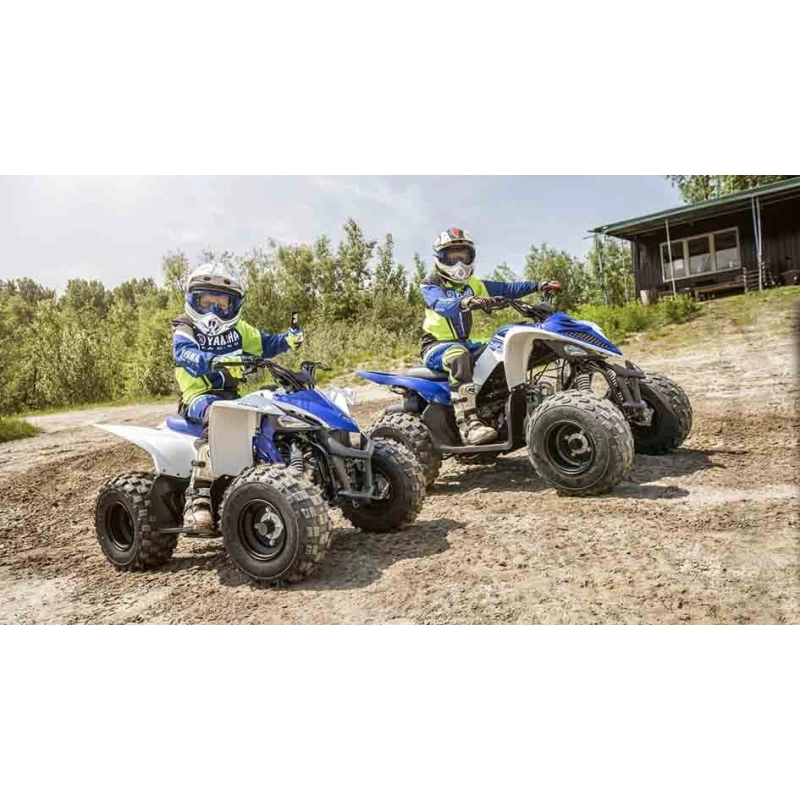 Квадроцикл YAMAHA YFM90R (Raptor 90) 2546399