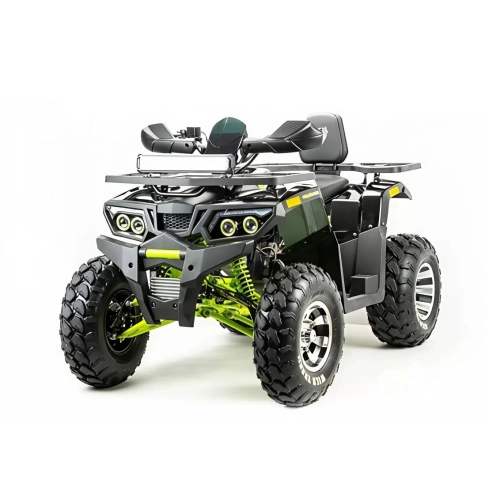 Квадроцикл MOTOLAND 200 Wild Track Pro 2588850