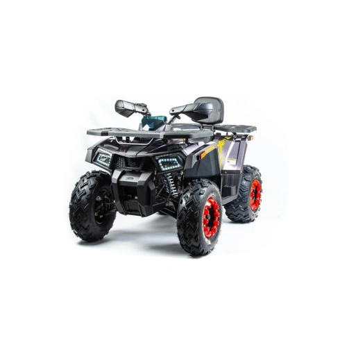 Квадроцикл MOTOLAND 200 Wild Track X Pro (2022)
