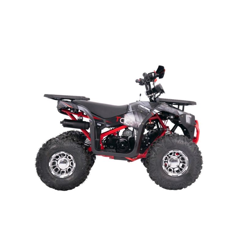 Квадроцикл YACOTA Sirius 125 LD