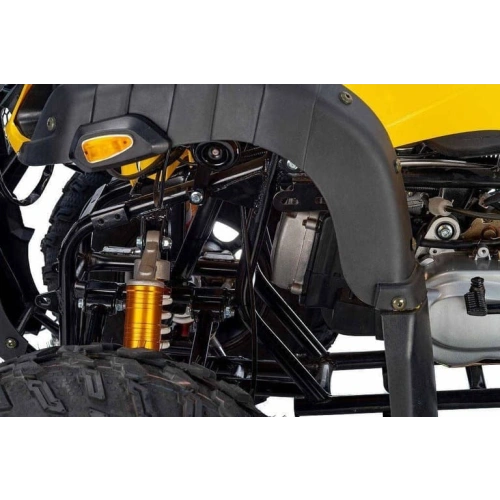 Квадроцикл RAPTOR Max Pro 250 (жёлтый/чёрный) (2024) 248056