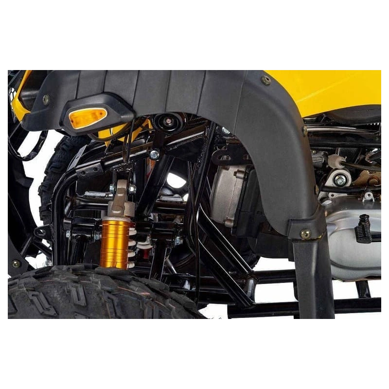 Квадроцикл RAPTOR Max Pro 250 (жёлтый/чёрный) (2024) 248056