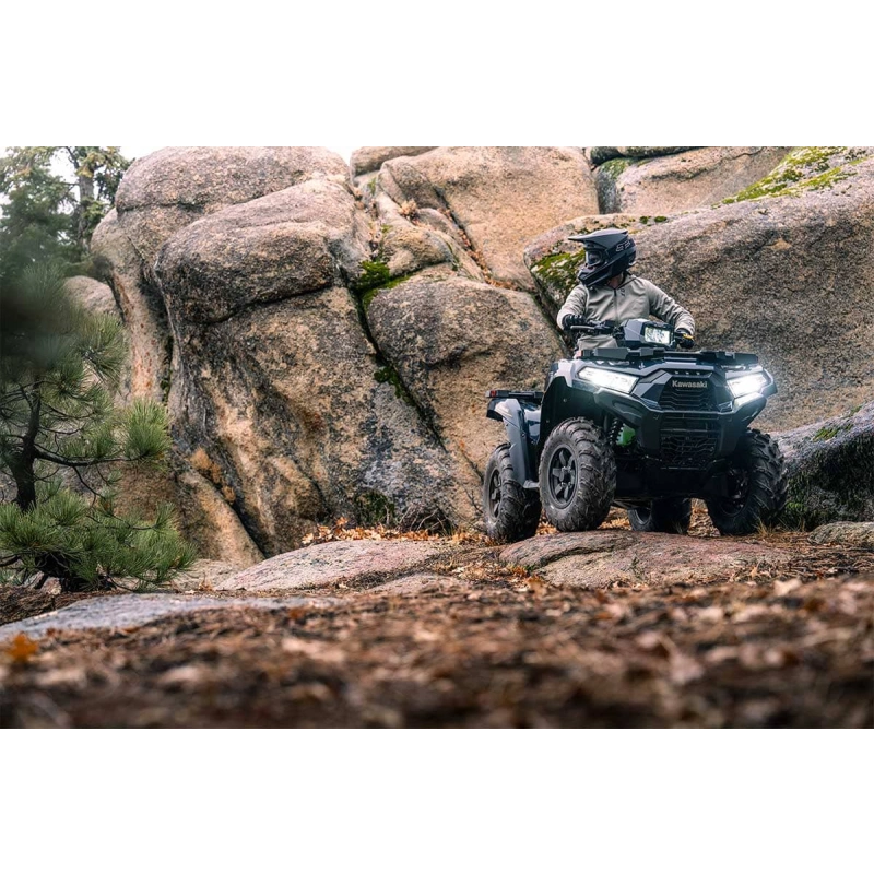 Квадроцикл KAWASAKI Brute Force 750 EPS (2024) (ПСМ)