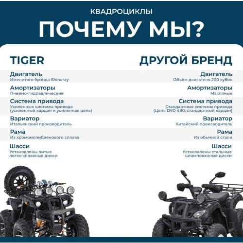 Квадроцикл TIGER Max Grade 300 248059