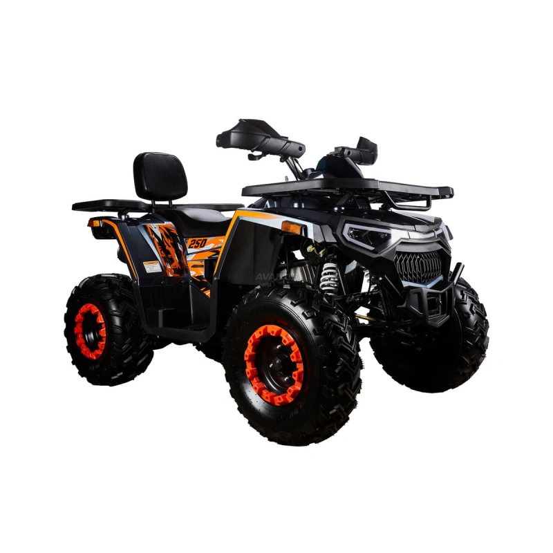 Квадроцикл AVANTIS H250 Big New Basic 2591697