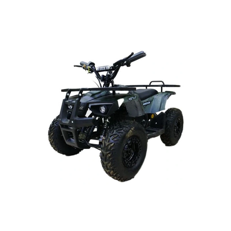 Электроквадроцикл MOTAX Grizlik X16 New E1000 Big Wheel 2547482