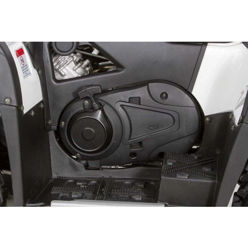 Квадроцикл BALTMOTORS Striker 700 EFI (ПСМ) 2546403