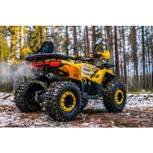 Квадроцикл WELS Thunder Trail 125 Pro 2588936