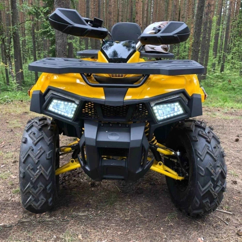 Квадроцикл MOTOLAND 200 Wild Track X 2586884