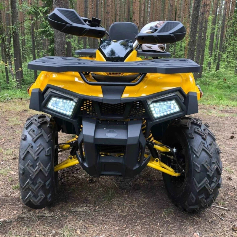 Квадроцикл MOTOLAND 200 Wild Track X 2586884