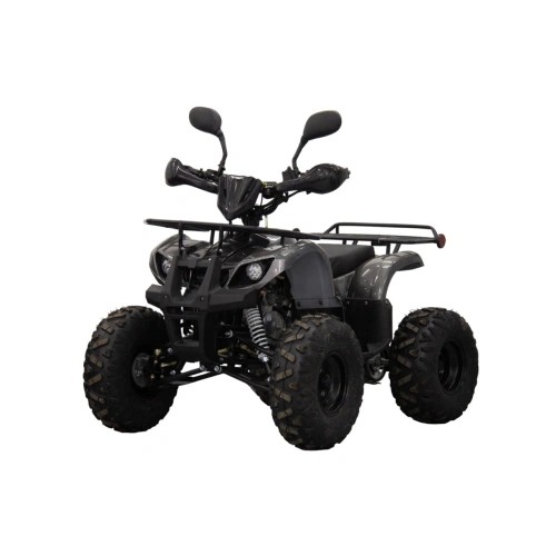Квадроцикл UNIVERSAL ATV 125 TM Classic 2586896