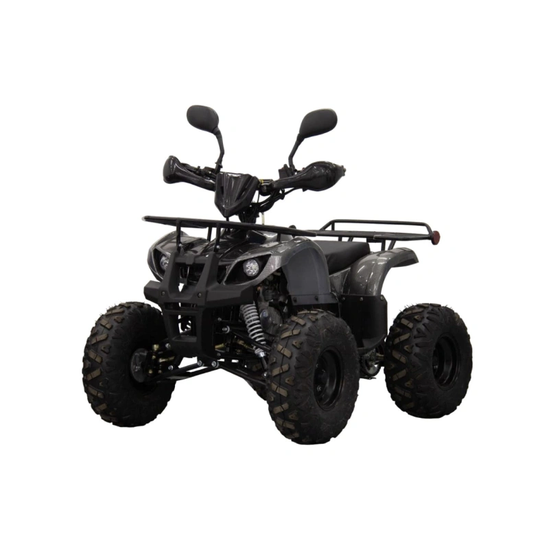 Квадроцикл UNIVERSAL ATV 125 TM Classic 2586896