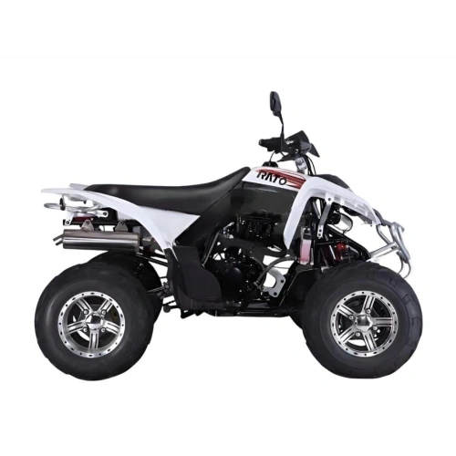 Квадроцикл RATO RТ250SТ-2 2589021