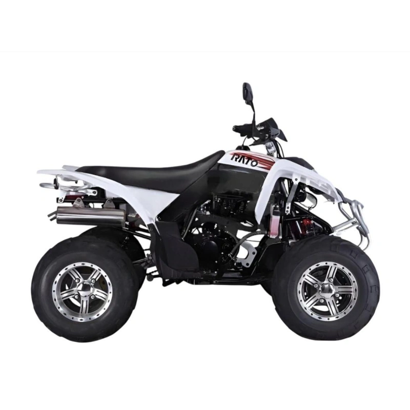 Квадроцикл RATO RТ250SТ-2 2589021