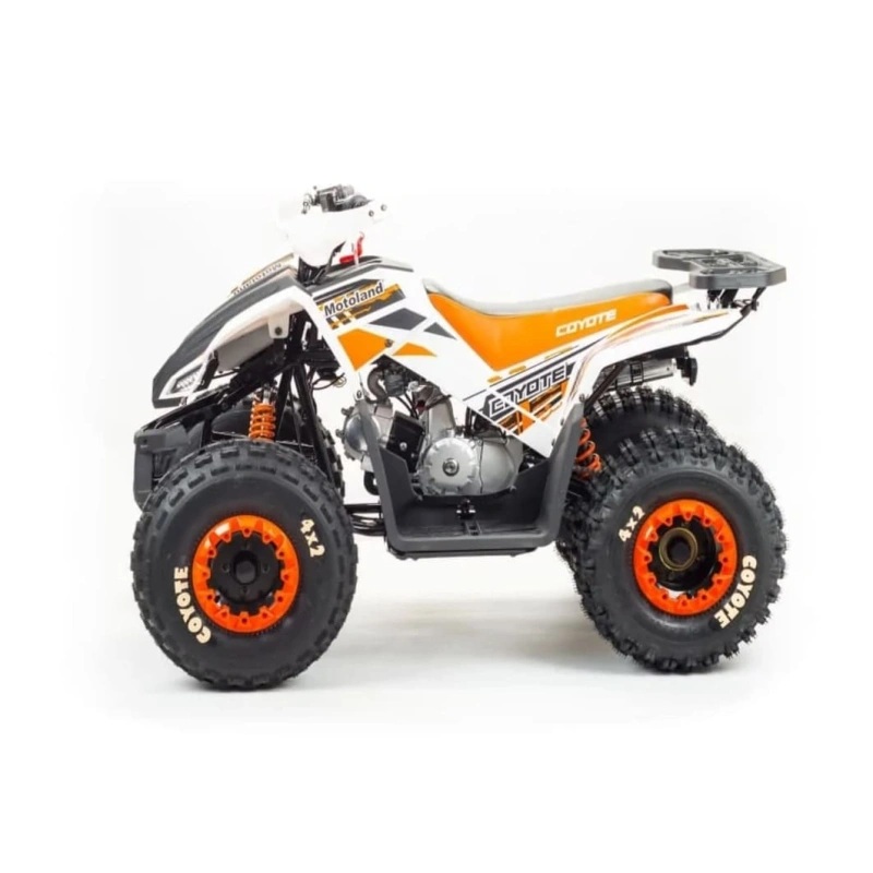 Квадроцикл MOTOLAND 125 Coyote (2021 Г.) 248052
